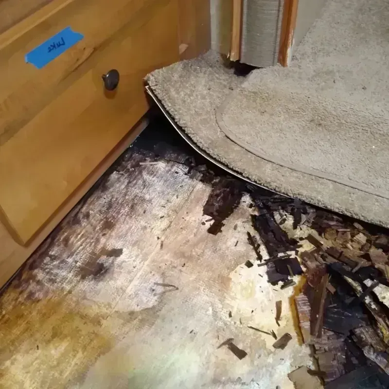 Wood Floor Water Damage in Stafford, VA